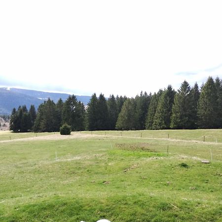La Ferme Du Levant Gérardmer Eksteriør billede