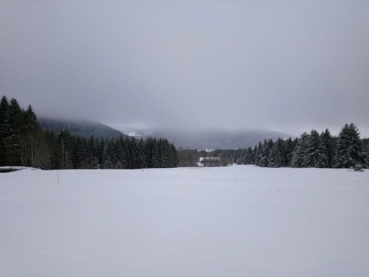 La Ferme Du Levant Gérardmer Eksteriør billede