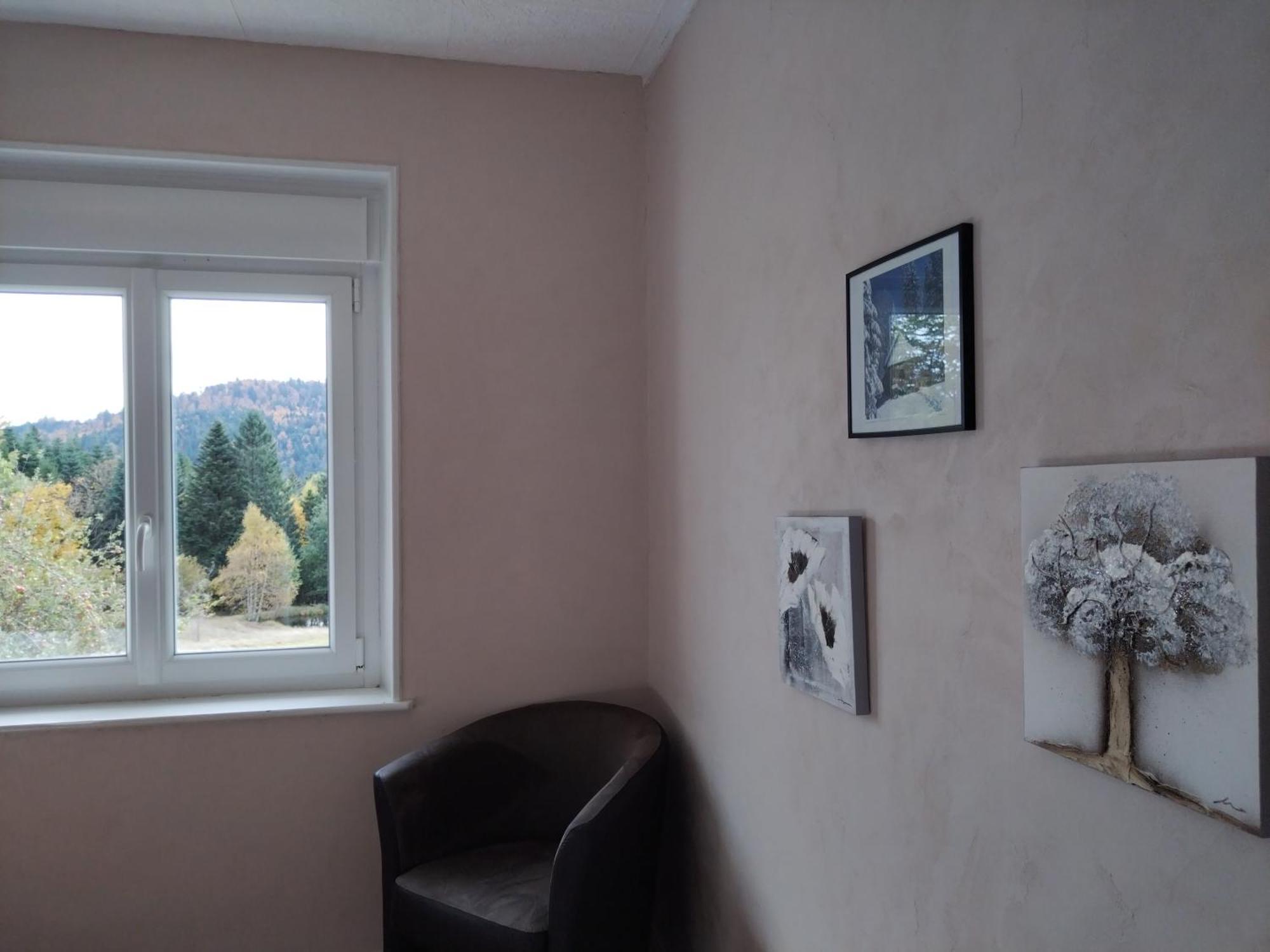La Ferme Du Levant Gérardmer Eksteriør billede