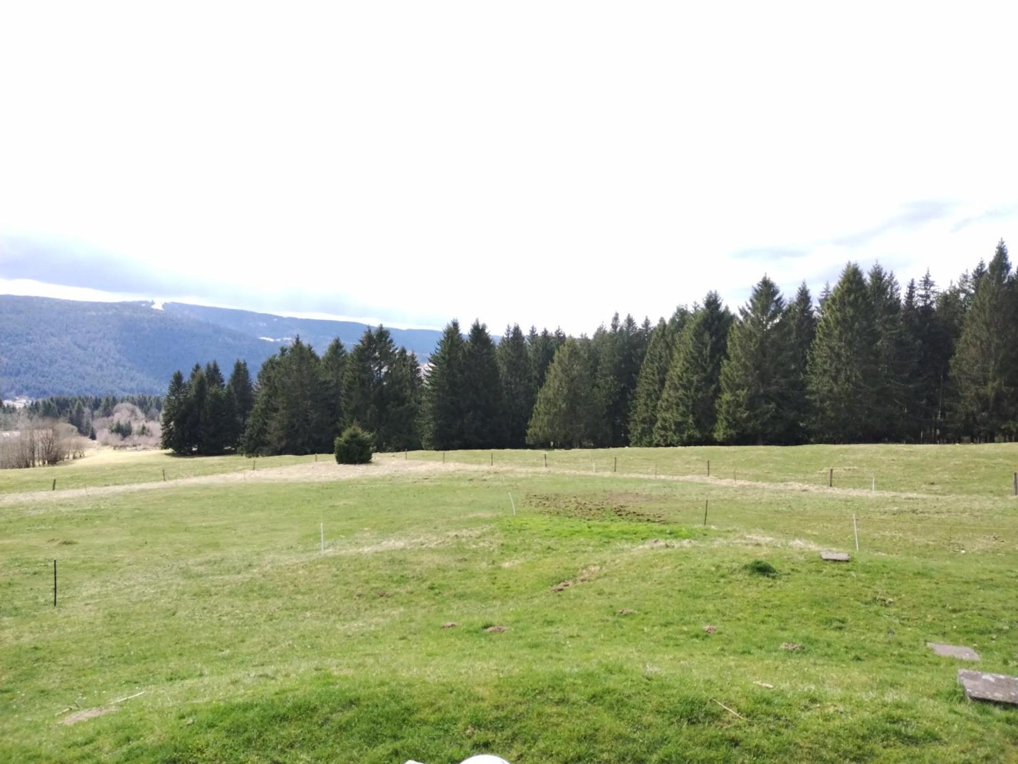 La Ferme Du Levant Gérardmer Eksteriør billede