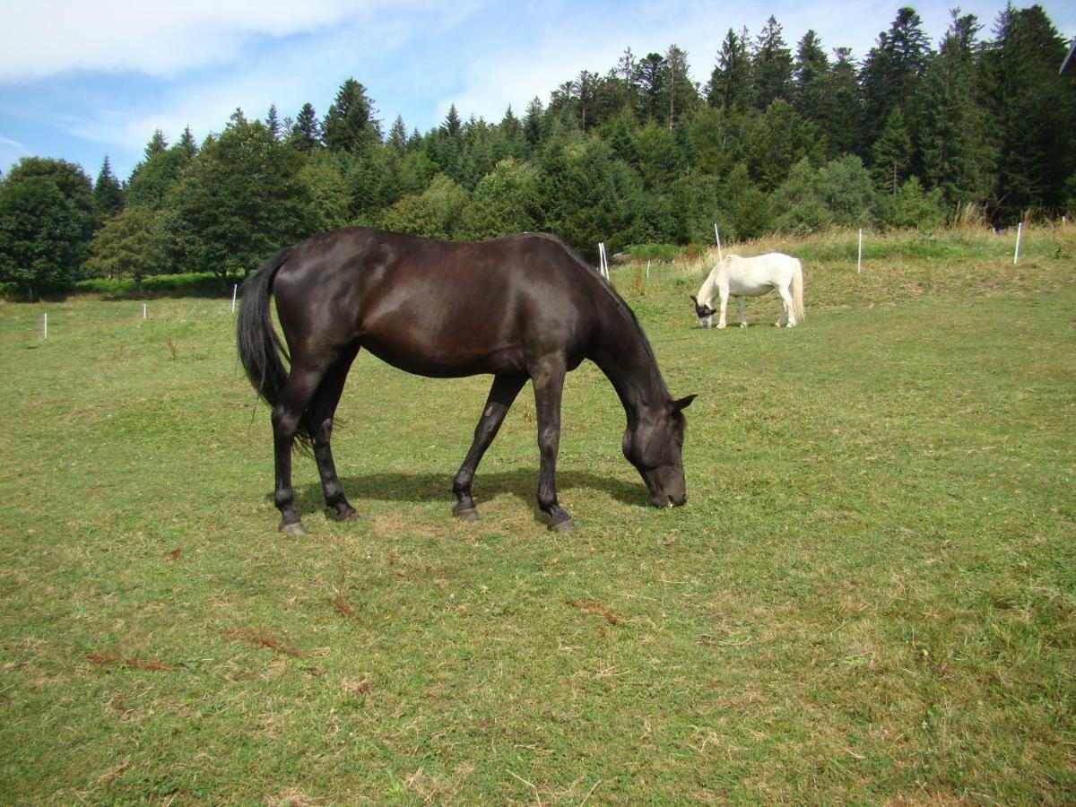 La Ferme Du Levant Gérardmer Eksteriør billede